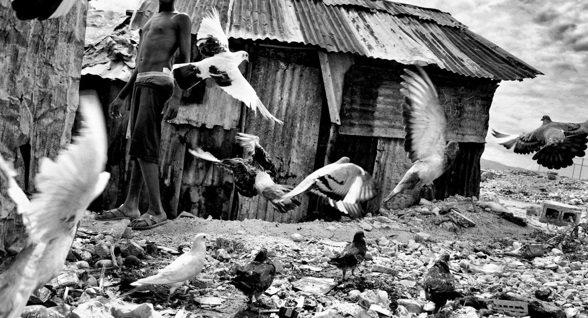 Pigeons fly away while a young man walks by them in the dusty street of Wharf Jeremie.  Wharf Jeremie is one of the poorest districts of Port au Prince, a shantytown where about 150.000 people live in miserable conditions and where gangs, drug and arms dealers are free to increase their business. This is one of the areas forbidden by UN because of its dangerousness. Wharf Jeremie is built on a garbage dump among the sea and a little smelly, dark river. This is a high risk area for deseases. After hurricane Tomas great part of it was flooded and Wharf Jeremie is one of the first Port au Prince areas where cholera appeared.